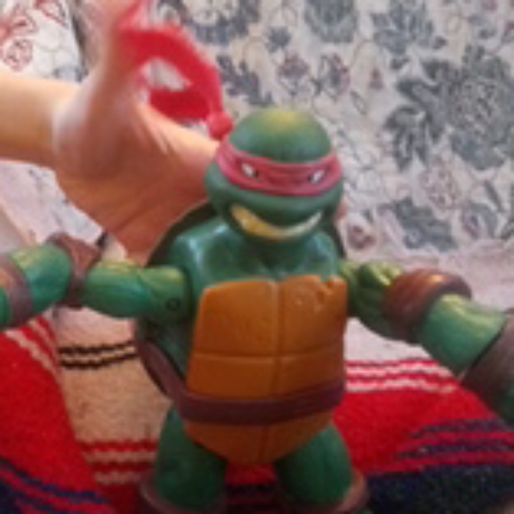 Big ninja turtles